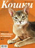 Питомник абиссинских кошек